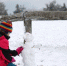 德国降雪 - 人民网