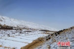资料图。位于祁连山下的甘肃张掖市肃南裕固族自治县马蹄藏族乡在皑皑白雪映衬下更显宁静秀丽，犹如一幅美丽的丹青画卷。　武雪峰 摄 - 甘肃新闻