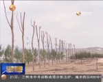 春风四月好时节  植树播绿家园美 - 甘肃省广播电影电视