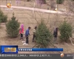 春风四月好时节  植树播绿家园美 - 甘肃省广播电影电视