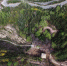 兰州北山上的国学馆牡丹园松柏苍翠，落叶树木吐绿，一派生机勃勃。　　　杨艳敏 摄 - 甘肃新闻
