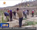 ​“八个着力”促发展（四）加强生态保护建设 构筑生态安全屏障 - 甘肃省广播电影电视