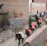 活动期间，坪定乡炮鸣马嘶、锣鼓喧天，独特的民俗风情形成了甘肃藏乡特有的民俗文化。当地每年都会对比赛获得前三名的骏马及主人进行表彰奖励，马儿披红挂绿、头戴红花，甚是英武。　汪江海 摄 - 甘肃新闻