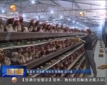 永靖：有机农业产业链助农增收致富 - 甘肃省广播电影电视