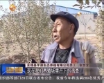 永靖：有机农业产业链助农增收致富 - 甘肃省广播电影电视