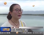 浓情端午 感受传统文化韵味 - 甘肃省广播电影电视