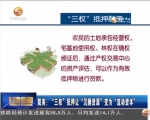 陇南：“三权”抵押 “让沉睡资源”变为“流动资本” - 甘肃省广播电影电视