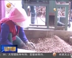 定西：新型农业经营主体推动县域经济发展 - 甘肃省广播电影电视