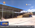 定西：新型农业经营主体推动县域经济发展 - 甘肃省广播电影电视