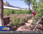 （砥砺奋进的五年）兰州：凝心聚力共建绿色家园 - 甘肃省广播电影电视