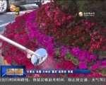 （砥砺奋进的五年）兰州：凝心聚力共建绿色家园 - 甘肃省广播电影电视