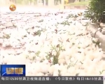 甘肃省多地天气多变 冰雹雨雪来袭 - 甘肃省广播电影电视