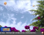 兰州：创建好风景 文明润金城 - 甘肃省广播电影电视