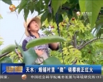 天水：烟铺村里“微”销樱桃正红火 - 甘肃省广播电影电视