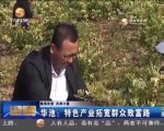 （精准扶贫 共奔小康）华池：特色产业拓宽群众致富路 - 甘肃省广播电影电视