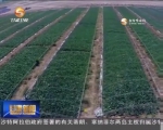 甘肃省农科院：推广水肥一体化 发展现代农业 - 甘肃省广播电影电视