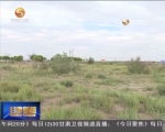 高台：黑河湿地卫星遥感监测问题全部整改完毕 - 甘肃省广播电影电视