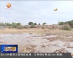 高台：黑河湿地卫星遥感监测问题全部整改完毕 - 甘肃省广播电影电视