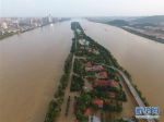 长沙橘子洲景区遭洪水“穿洲” - 人民网