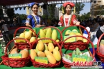 “中国芒果之乡”百色在兰州推介“百色芒果 - 甘肃新闻