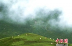 资料图：七月的祁连山云雾缭绕。　郎文瑞 摄 - 甘肃新闻
