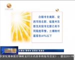 甘肃省农业部门积极应对高温不利影响 - 甘肃省广播电影电视