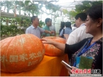 媒体记者采访天水国家农业科技园区。 - 甘肃新闻