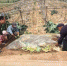 资料图。图为甘肃省武山县菜农正在“变废为宝”做有机肥料。　钟欣 摄 - 甘肃新闻