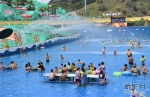 重庆：“水中棋牌”消酷暑 - 人民网
