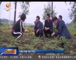 特色产业为特色小镇注入生命力 - 甘肃省广播电影电视