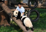 “大熊猫奶爸”的小幸福 - 中国甘肃网