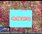 临夏：科技兴农  为增收致富增添新动力 - 甘肃省广播电影电视