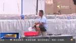景泰：盐碱地里唱“渔歌” - 甘肃省广播电影电视