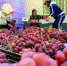 资料图。图为敦煌市郭家堡镇七号桥村农民正在将葡萄装箱。　张晓亮 摄 - 甘肃新闻