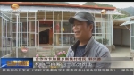 （砥砺奋进的五年）甘南：安居让城乡群众有了“获得感”   - 甘肃省广播电影电视