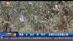 酒泉：从“治沙”到“用沙” 走绿色生态发展之路 - 甘肃省广播电影电视