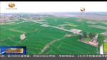 （环保整改进行时）甘肃：修复祁连山生态环境 切实改变流域现状 - 甘肃省广播电影电视