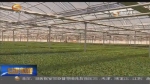 “一带一路”助力陇上特色农产品走出国门     - 甘肃省广播电影电视