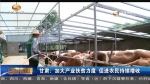 ​甘肃：加大产业扶贫力度 促进农民持续增收 - 甘肃省广播电影电视