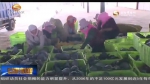 （喜迎十九大）打通南向通道 为甘肃省外向型农业带来新机遇 - 甘肃省广播电影电视