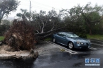 飓风“艾尔玛”登陆美国佛罗里达 - 人民网