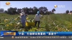 宁县：打造群众致富的“菜篮子” - 甘肃省广播电影电视