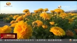 肃北：牧家乐吸引四方游客 - 甘肃省广播电影电视