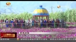 肃北：牧家乐吸引四方游客 - 甘肃省广播电影电视