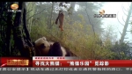 （砥砺奋进的五年 走基层）寻找大熊猫：“熊猫乐园”觅”猫“影 - 甘肃省广播电影电视