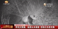 （砥砺奋进的五年 走基层）寻找大熊猫：纵然从未谋面 但我们无怨无悔 - 甘肃省广播电影电视