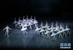 上海芭蕾舞团豪华版《天鹅湖》在比利时上演 - 人民网