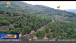 （砥砺奋进的五年）天水：以绿色发展理念推进生态文明建设 - 甘肃省广播电影电视