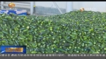“一带一路”为张掖农产品贸易带来新机遇 - 甘肃省广播电影电视