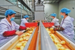 壮大首位产业 振兴一方经济——定西市安定区马铃薯产业发展综述 - 中国甘肃网